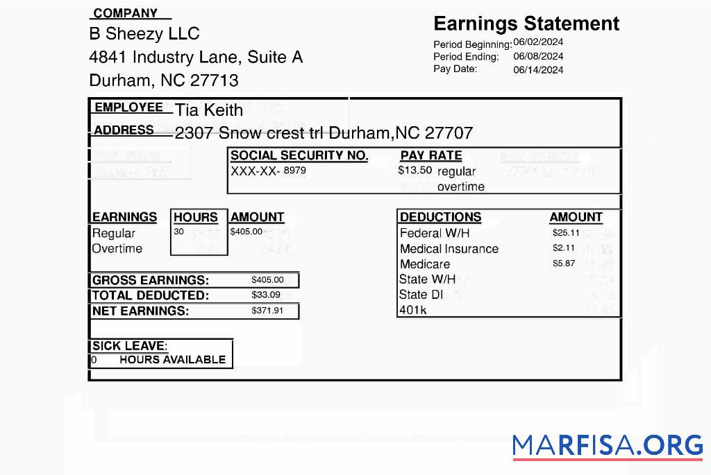 Printable B Sheezy LLC earnings statement sample